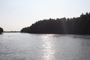 波光粼粼的宁静河岸风光