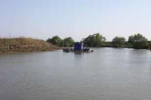 河上船只与岸边绿树景象