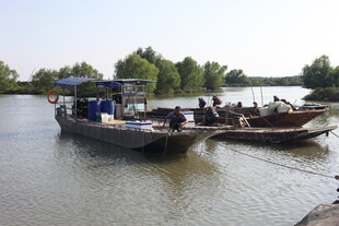 河边停泊的几艘船只