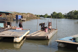 河边停靠的简易船只