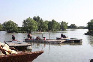 河上船只与岸边景象