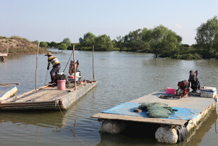 河边木筏上的劳作场景