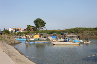 宁静河畔停泊的多彩船只