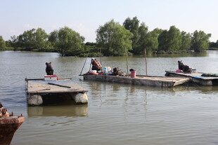河岸码头众人乘船场景
