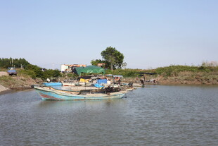 河上停泊的多彩渔船