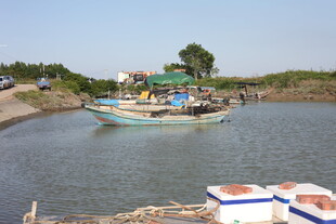 岸边停泊的多彩渔船