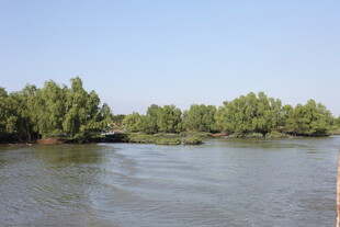 河畔绿树环绕的宁静水域