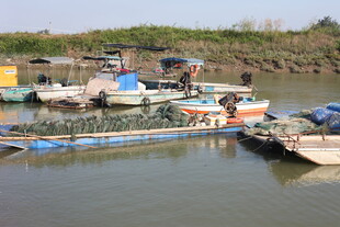 河边停泊的多彩船只