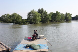 河上平台垂钓场景