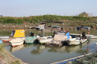 河边停泊的多彩船只