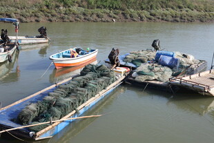 河上渔船与渔民劳作场景