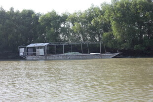 河畔停泊的船只与茂密树林