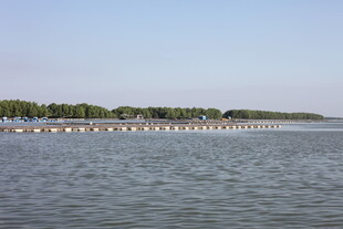 宽阔水域上的生蚝养殖