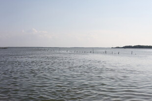 宁静海边的开阔水域景象