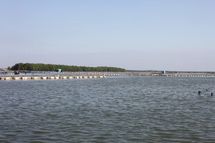 宽阔水域上的长桥景观