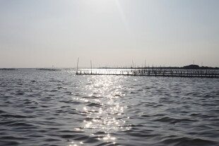 阳光照耀下的平静海面