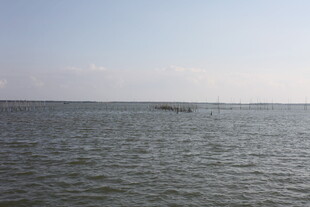 广阔海面的宁静景象