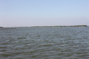 广阔水域的宁静景象