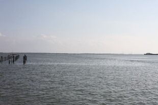 海边漫步的行人与辽阔大海