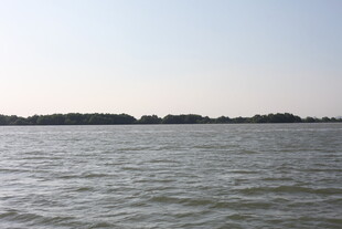 平静湖面与远处树木景观