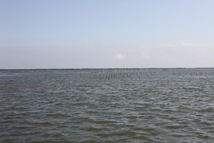 广阔平静的海面景观