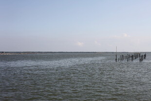 海边广阔水域与远处人影