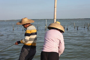 海边渔民劳作场景