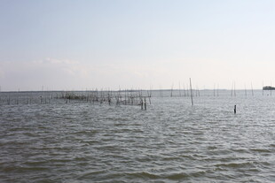 广阔海面与远处养殖设施