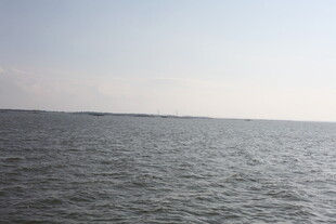 广阔海面的宁静景象