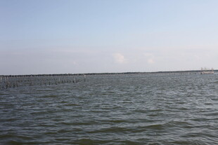 广阔水域的宁静风光