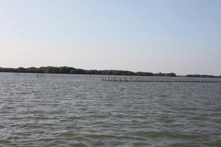 平静水域与远处岸景