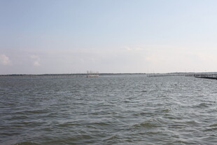 广阔海面的宁静景象