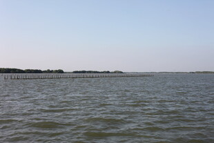 广阔水域与远处岸景