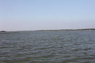 广阔水域的宁静景象