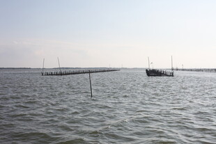 海上船只静泊于广阔水域