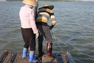 渔民船上撒网劳作场景