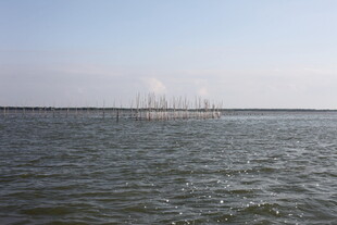 广阔海面与远处船只景象