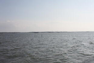 广阔海面的宁静景象