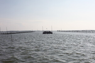 海上船只与远处养殖设施