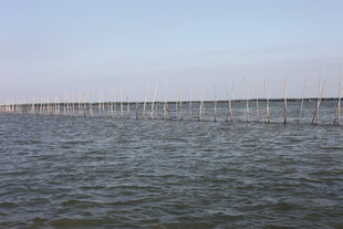 海上长桥横跨碧波