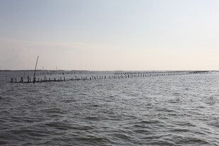 广阔海面与远处养殖设施