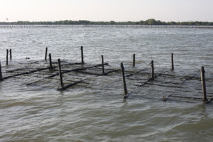 水上木桩设施景观