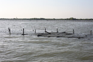 水上木桩设施景观