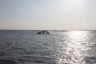 海上船只沐浴金色阳光