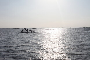 海面波光中的拱形物体