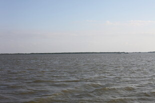 广阔海面的宁静景象