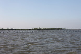 广阔水域与远处岸景