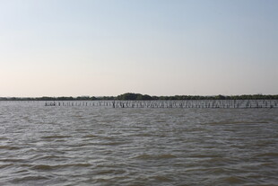 广阔水域的宁静景象