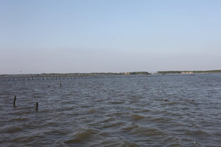 广阔水域的宁静景象