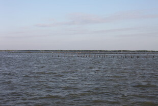 广阔海面的宁静风光